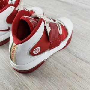 Nike Zoom Air Max Lebron James